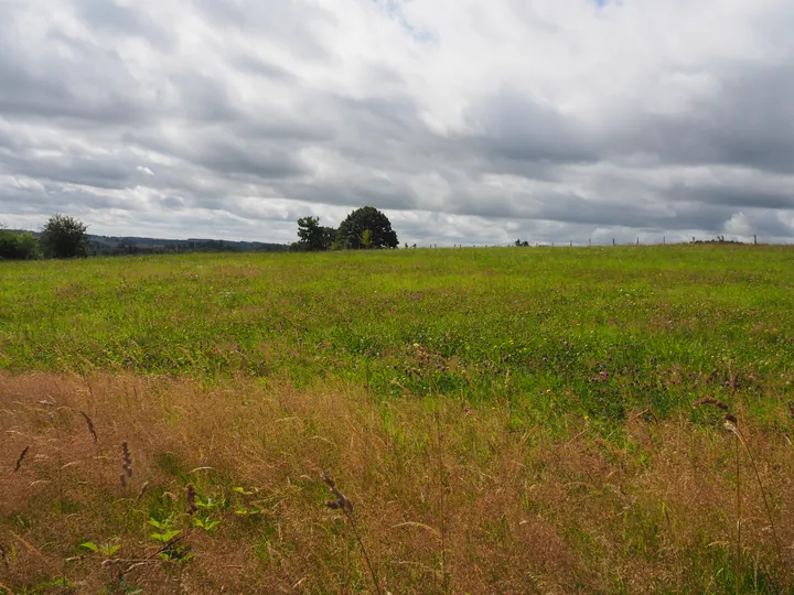 Ferme de la Planche (Blote voeten pad) (België)